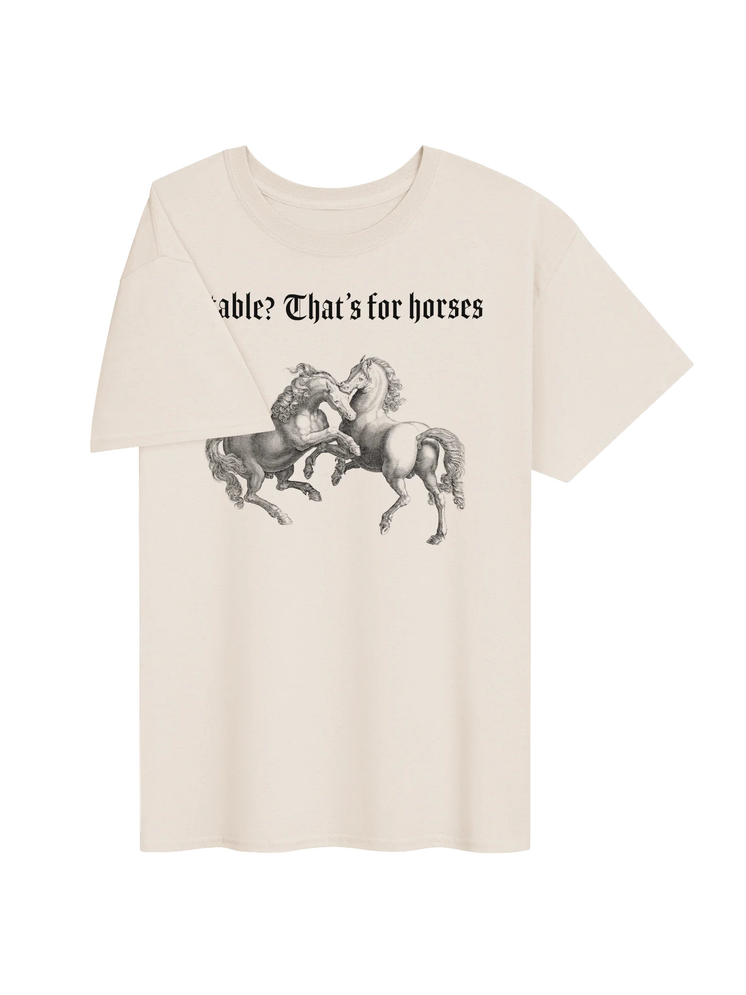Stable? That's for horses product image (53)