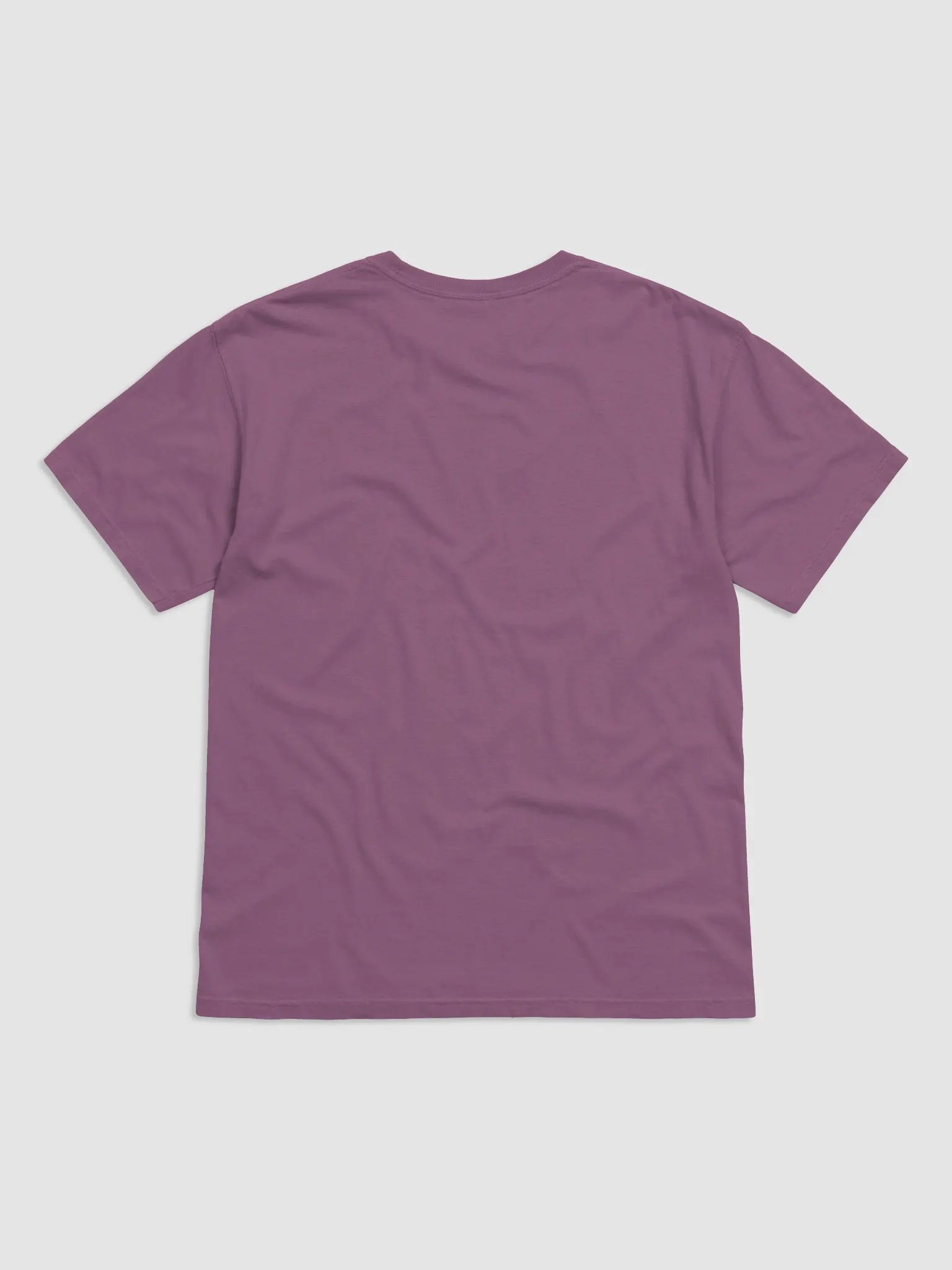 I Has Blue Chicken Tee product image (2)