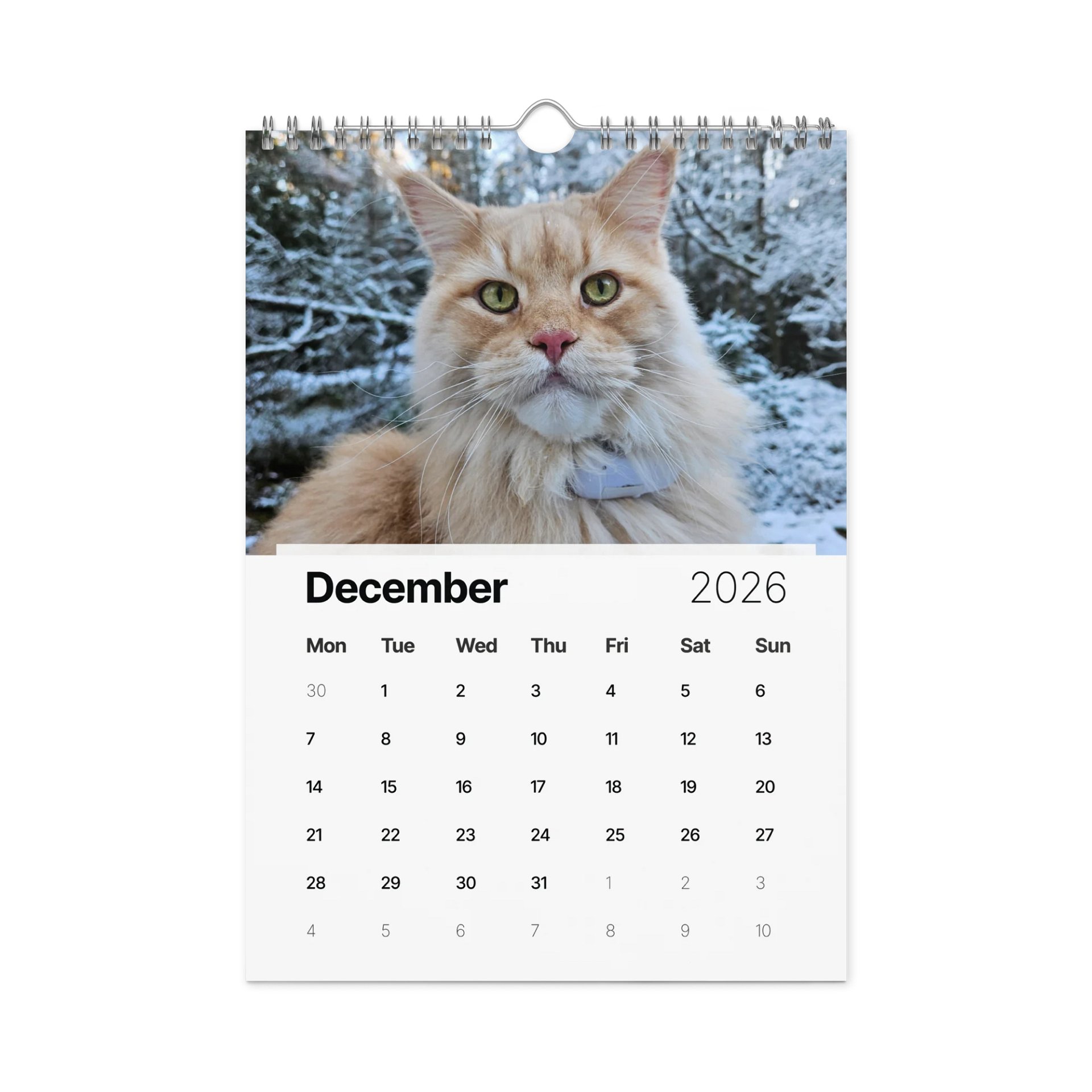 2026 Calendar - Maine Coon Adventures + Kittens product image (7)