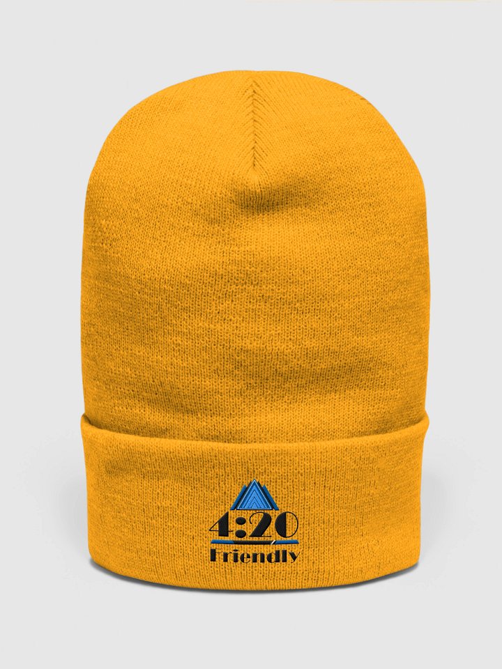 Beanie product image (6)