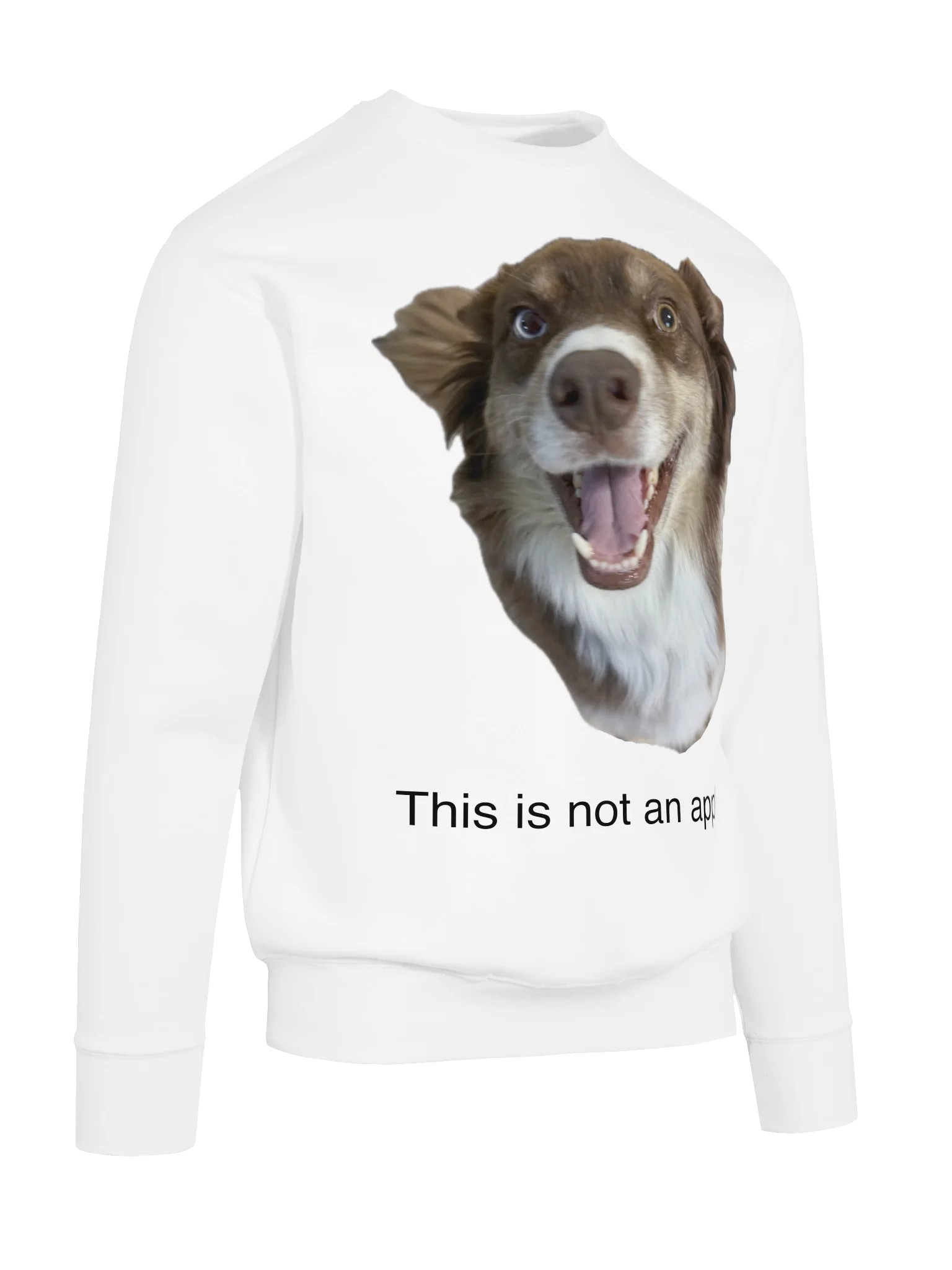 THIS IS STILL A DOG. product image (10)