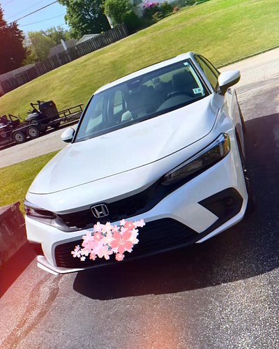 Welcome Home, Hikari ⛩️❤️
