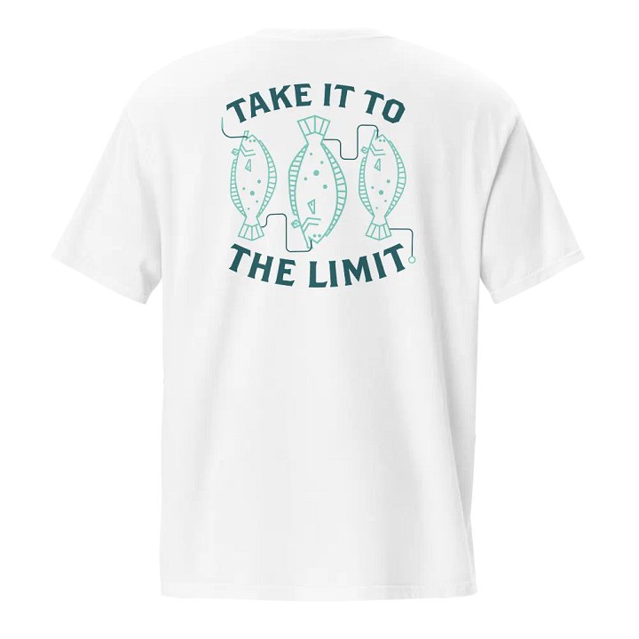 Take It To The Fluke 