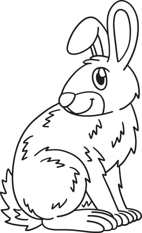 Animal Coloring Pages product image (1)