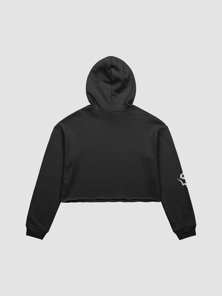 Sin Crop Top Hoodie product image (2)