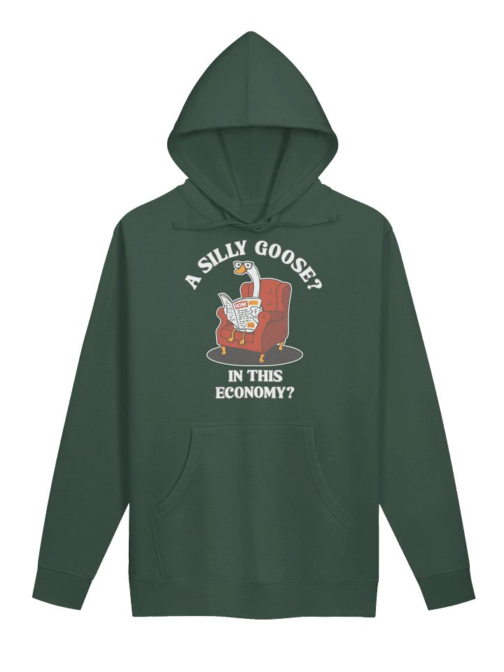 Silly Goose - BB x ITC Hoodie product image (1)