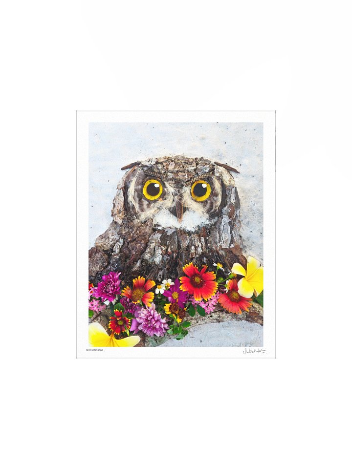 MORNING OWL | Fine Art Print product image (5)