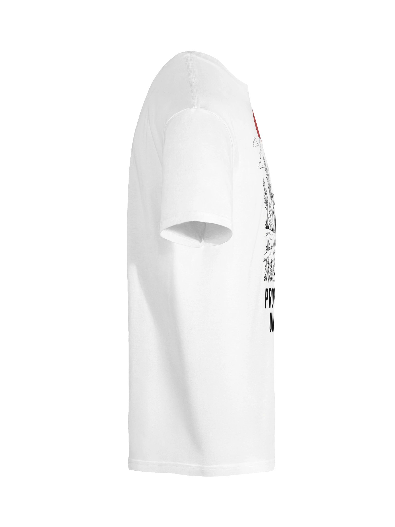 Professionally Unbothered Tee product image (11)