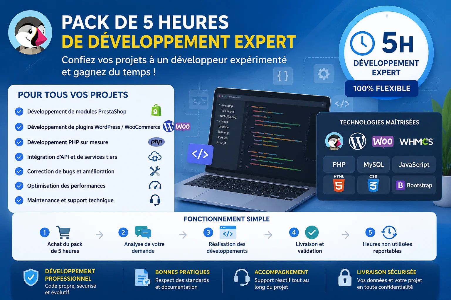 Pack de 5 Heures de Développement Expert product image (1)