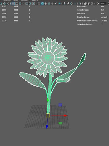 Sunflower product image (2)