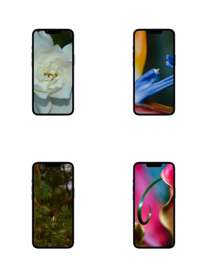 the beyond the thicket digital wallpaper collection product image (1)