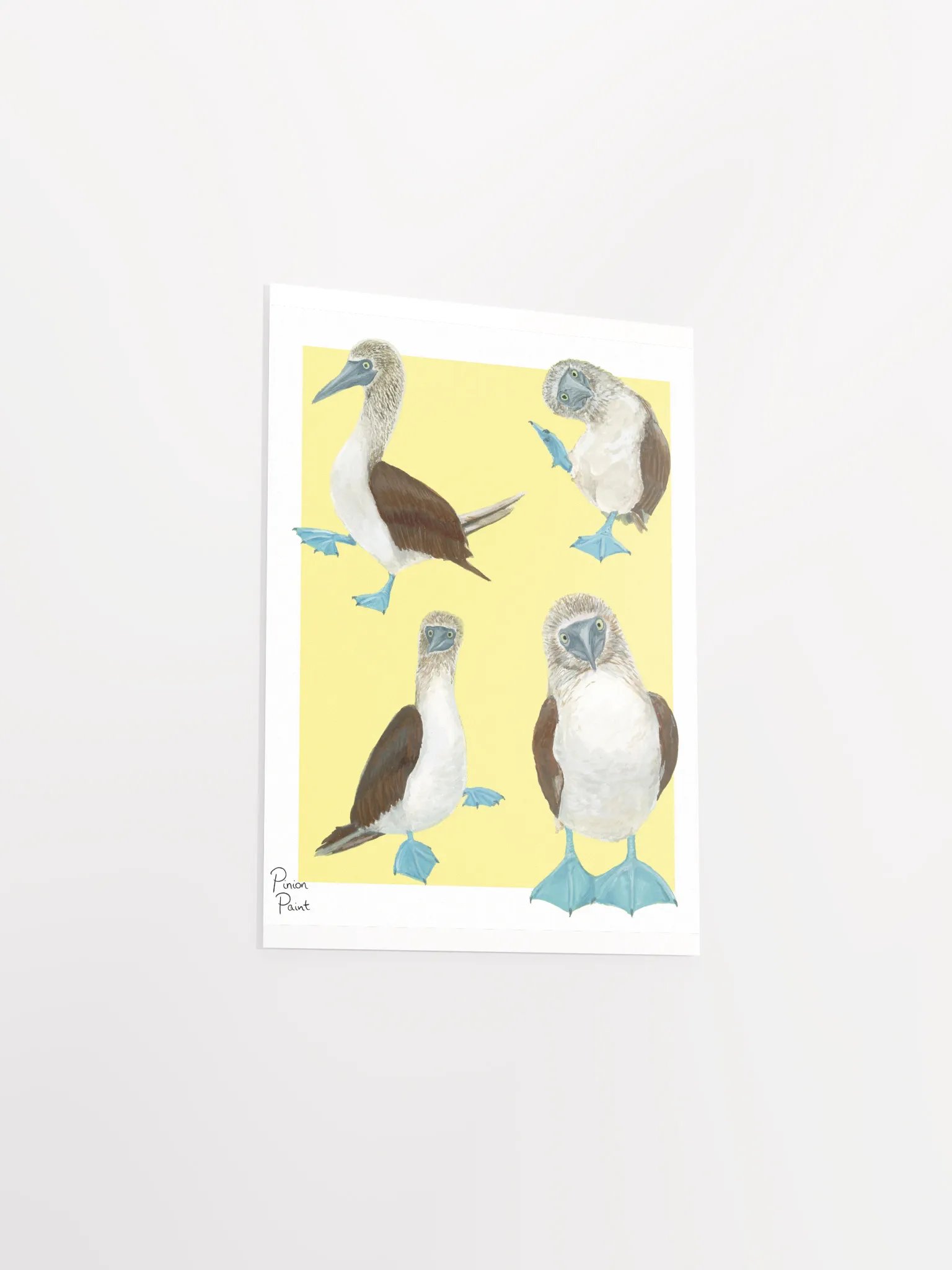 Boobies print product image (3)