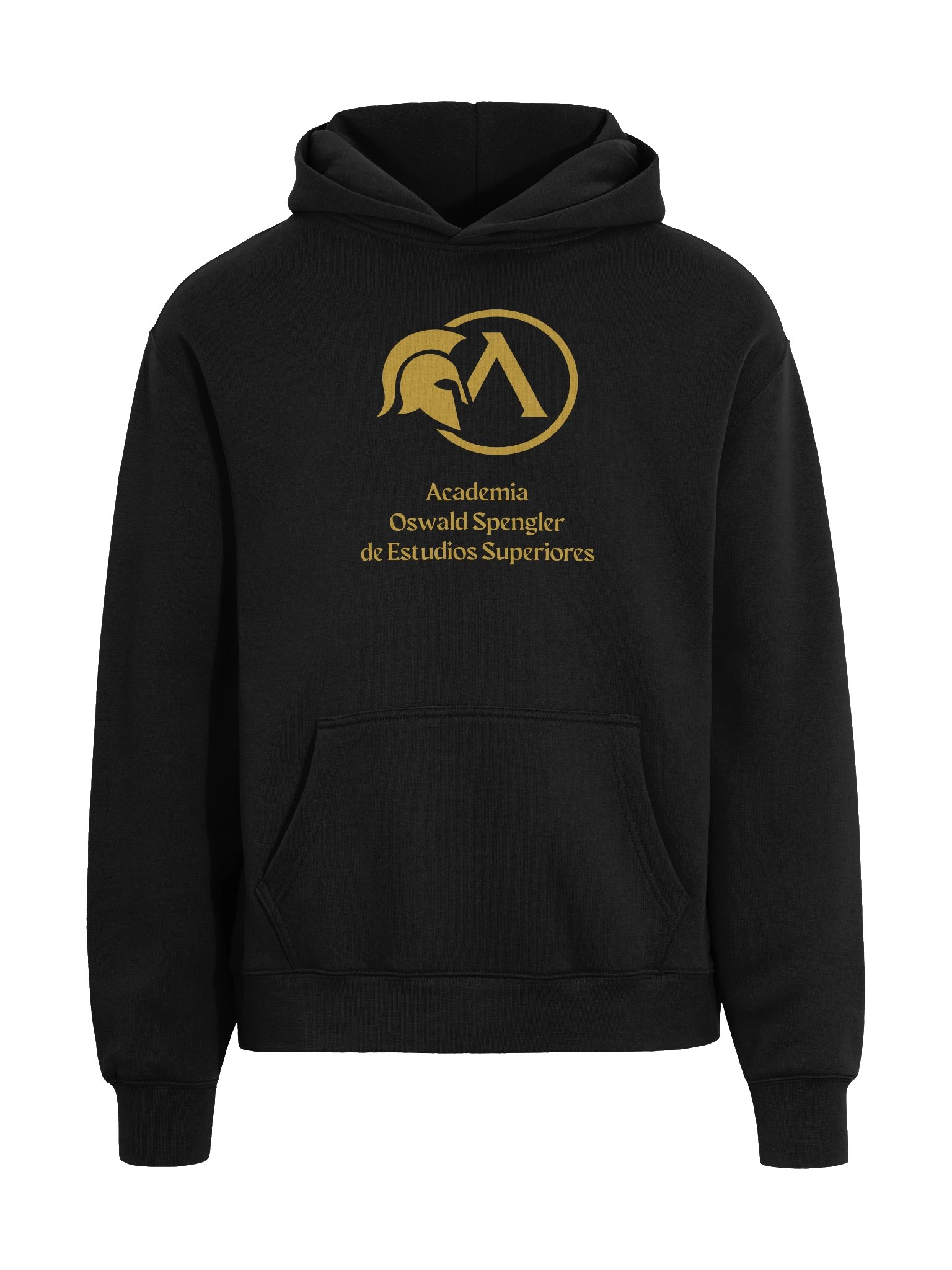 Sudadera premium Academia Oswald Spengler product image (9)