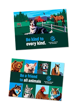 Greeting card bundle 