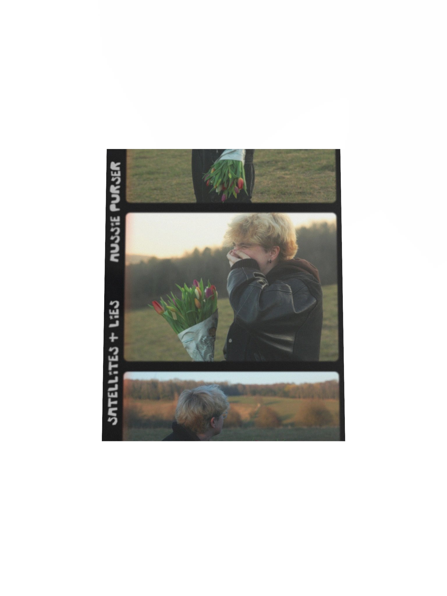 "Satellites & Lies" Poster product image (4)