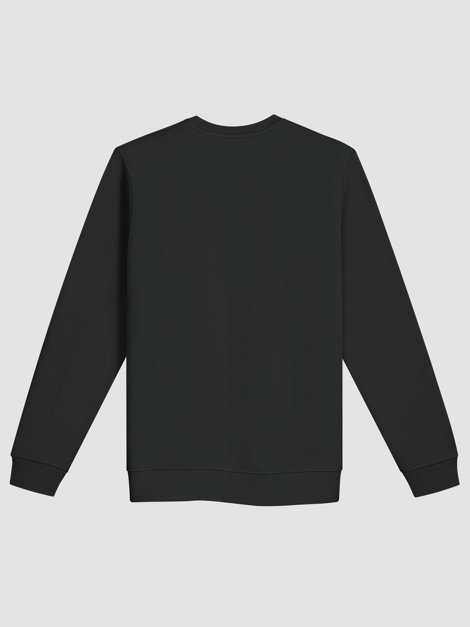 CS SweatShirt product image (2)