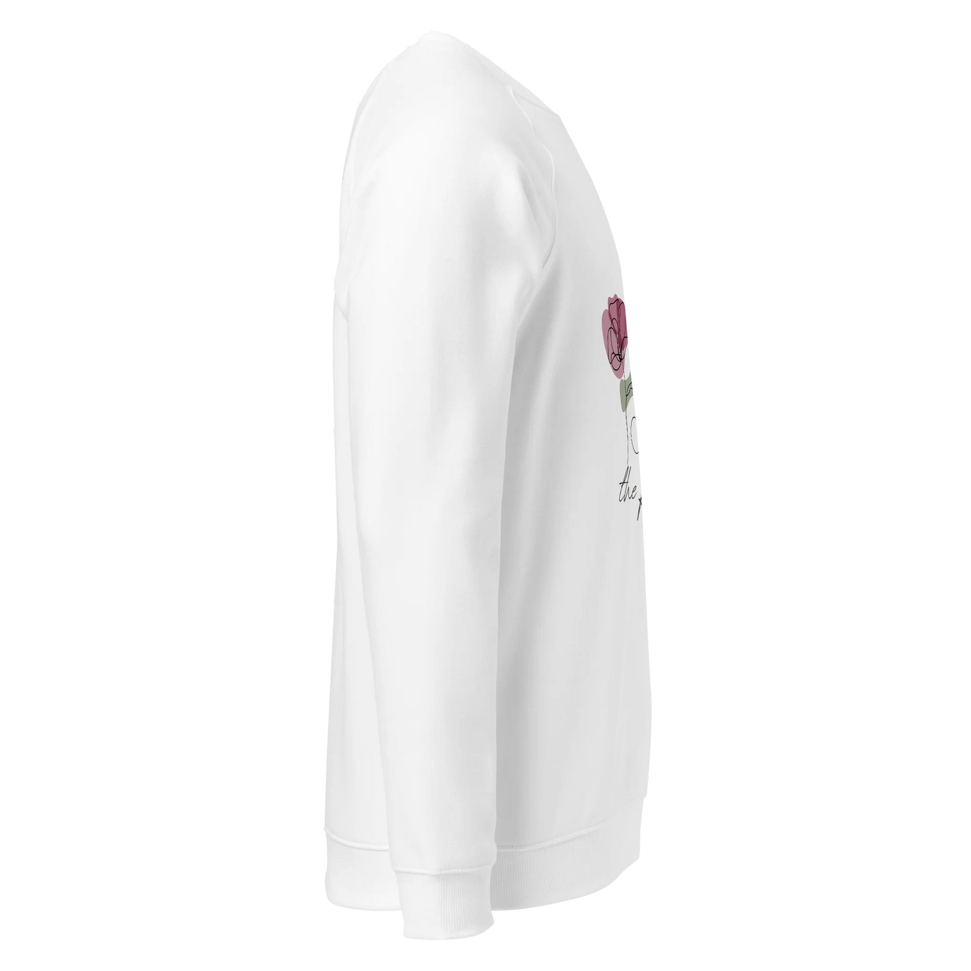 Women's Organic Raglan Sweatshirt ORFB0142 product image (3)