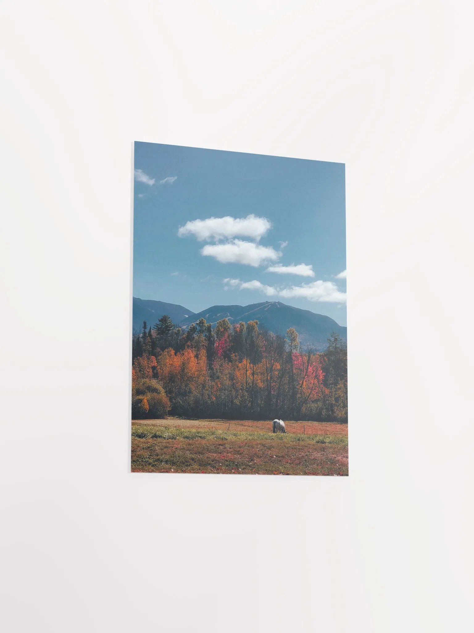 White Mountain Horse product image (4)