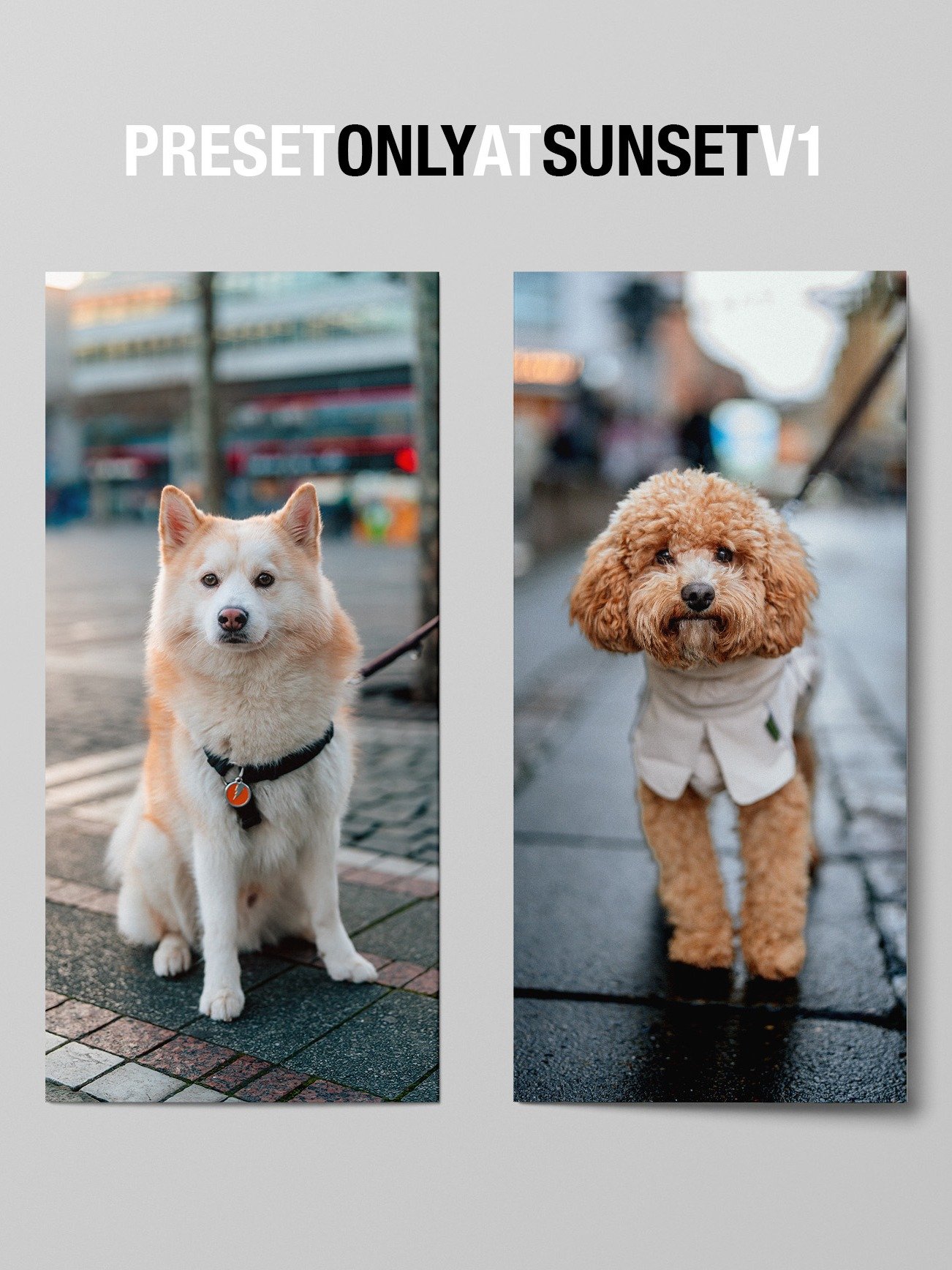 All PRESETS BUNDLE product image (9)