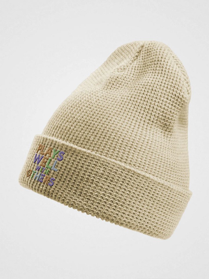 Plays Well With Others embroidered waffle beanie product image (5)