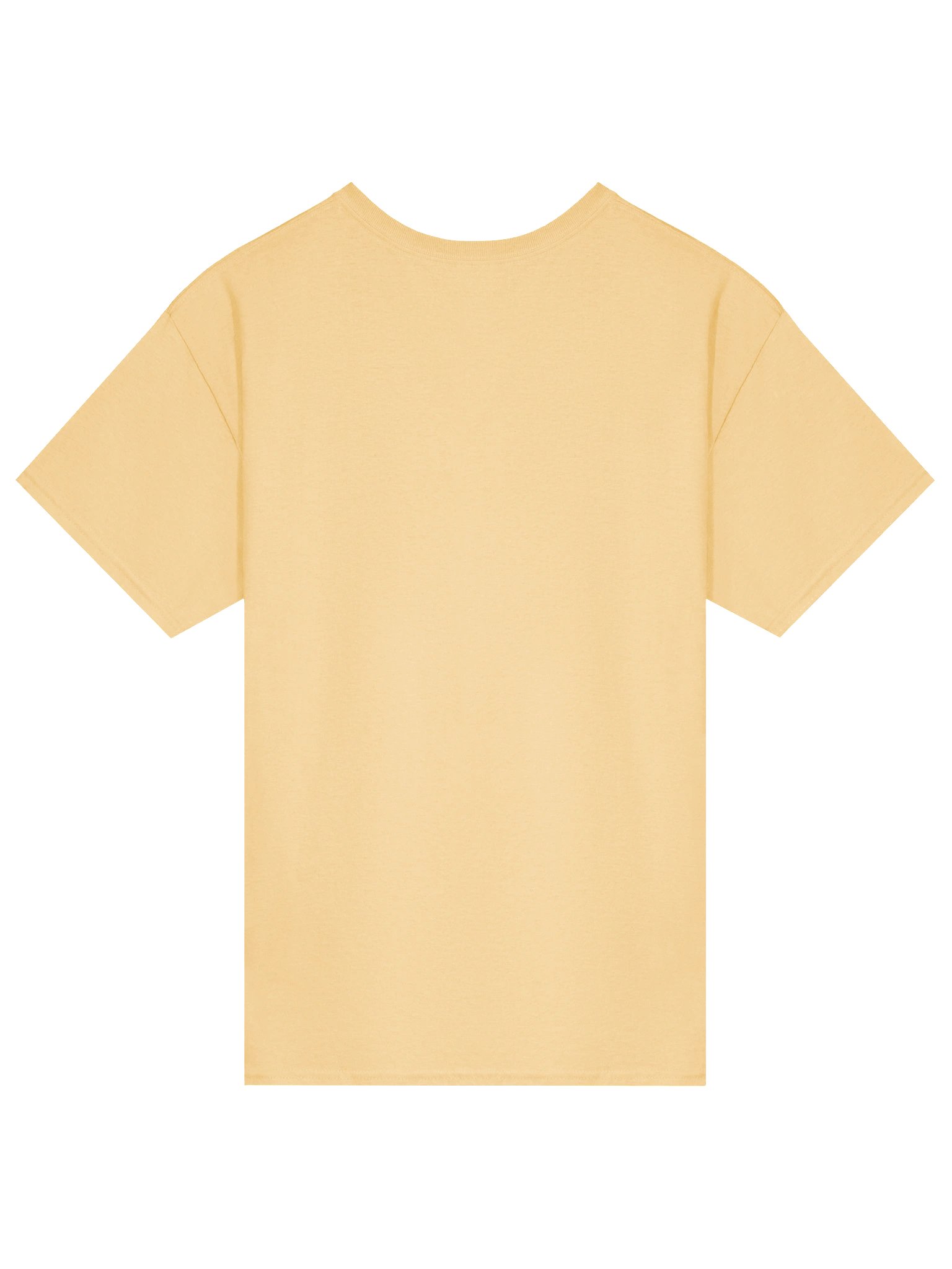 plouj33 x RespawnRaccoon T-Shirt product image (2)