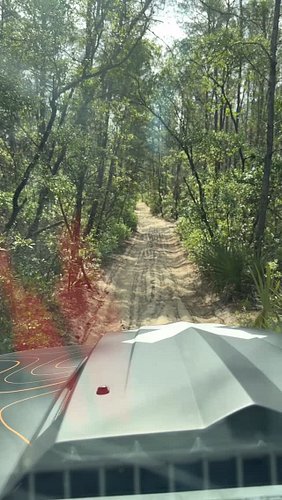 Took a detour from Daytona Beach and spent a morning this week in #ocalanationalforest doing a #trailtalk and a #badgeofhonor...