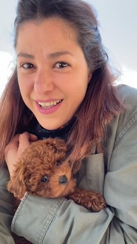 How can you focus on lunch when your friend brings this little “toy” ?! 
#poodle #toydog #bansko #cutenessoverload