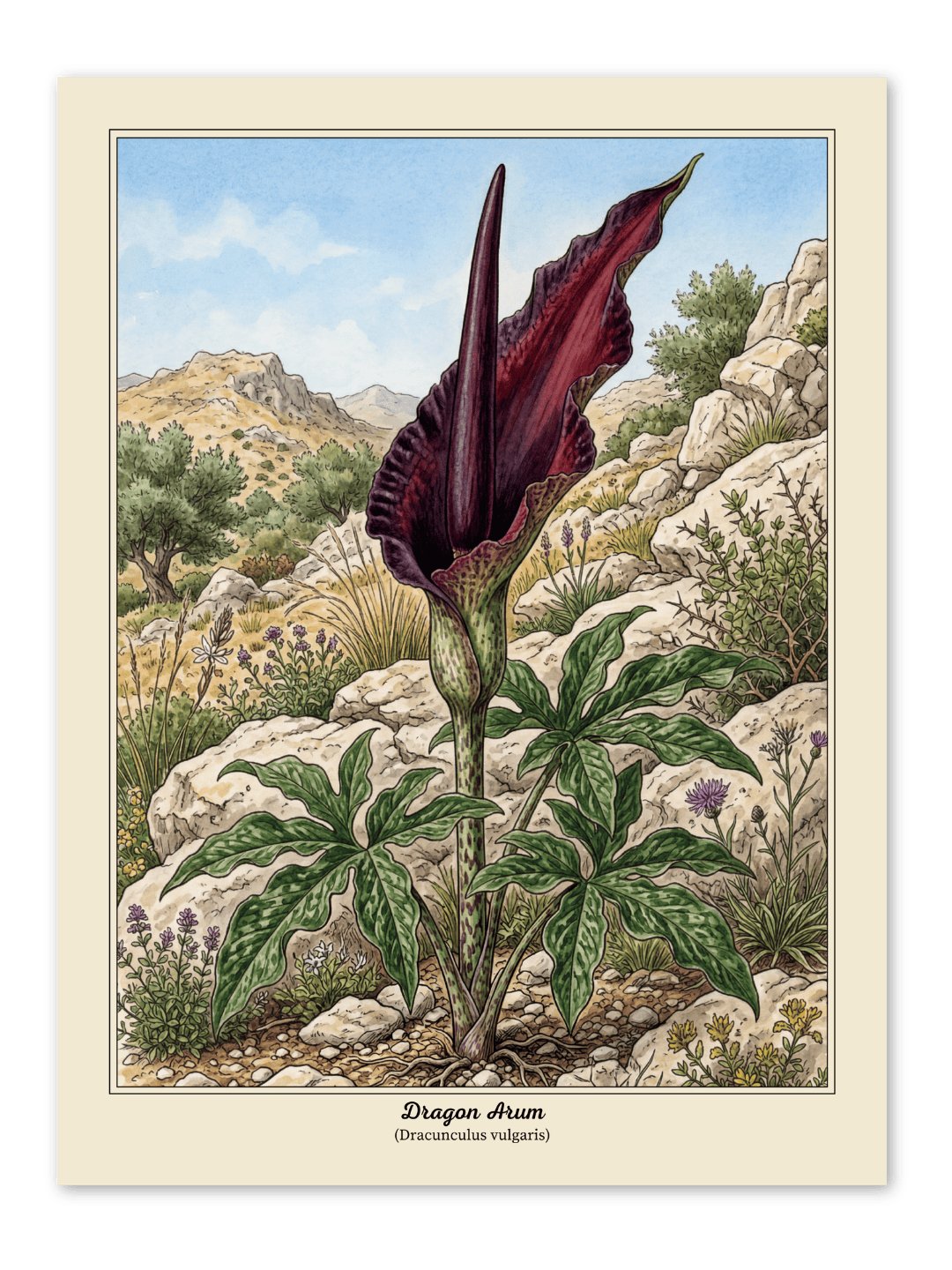 Dragon Arum Poster product image (1)