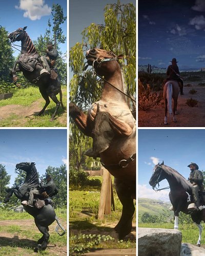 My Red Dead Redemption horses:
Fartu, after the auto-generated name given to a Stardew Valley horse (same save we got Naboo's...