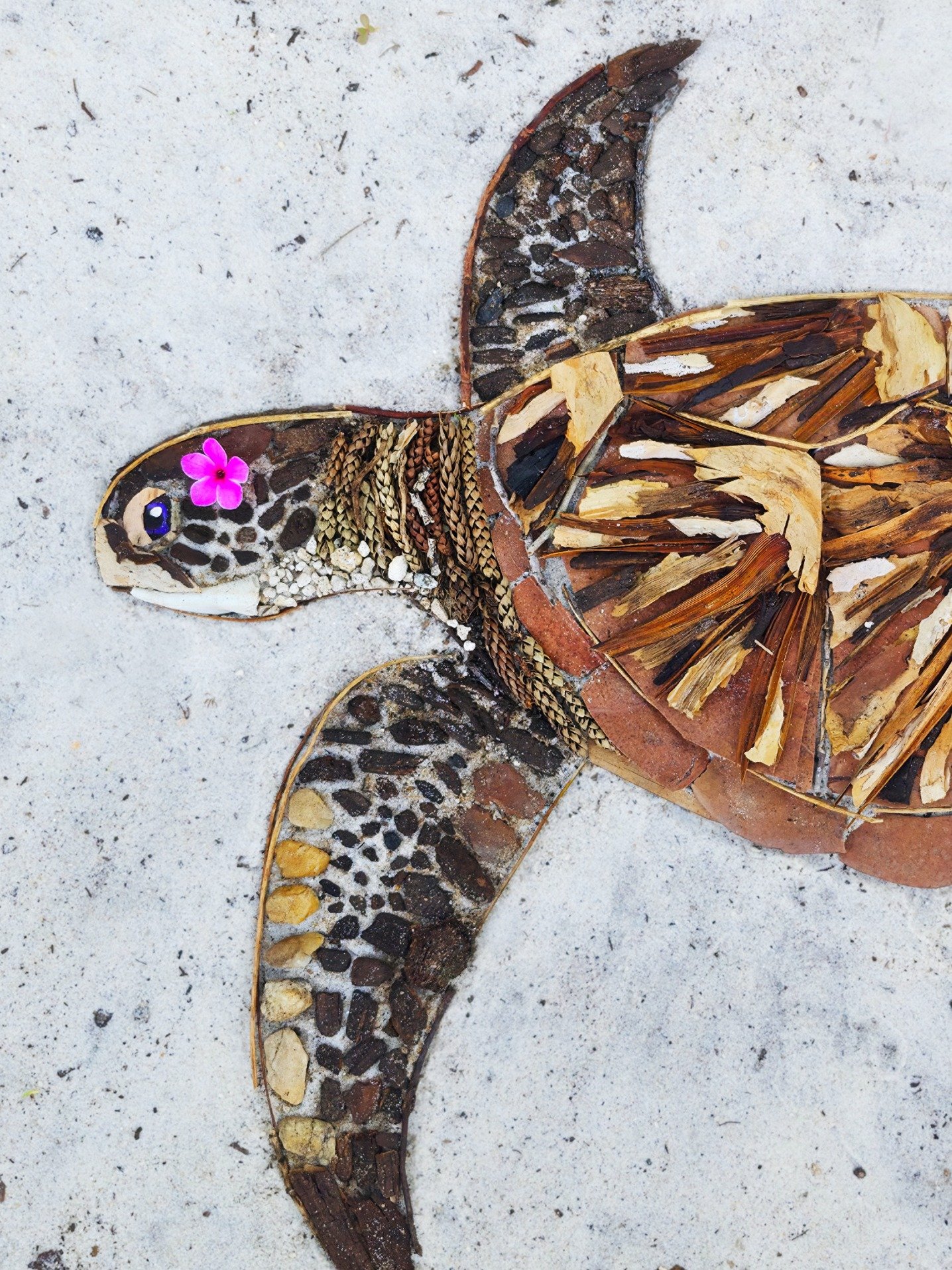 CHELONIA MYDAS | Nature Art Print - Ends June 23 product image (1)