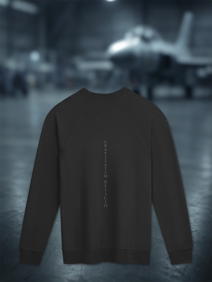 The Rejicio Comfort Raglan | Zero-Drag Edition product image (1)