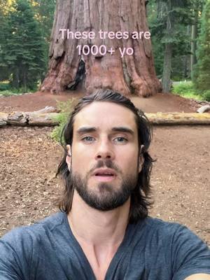 So majestic 🌲