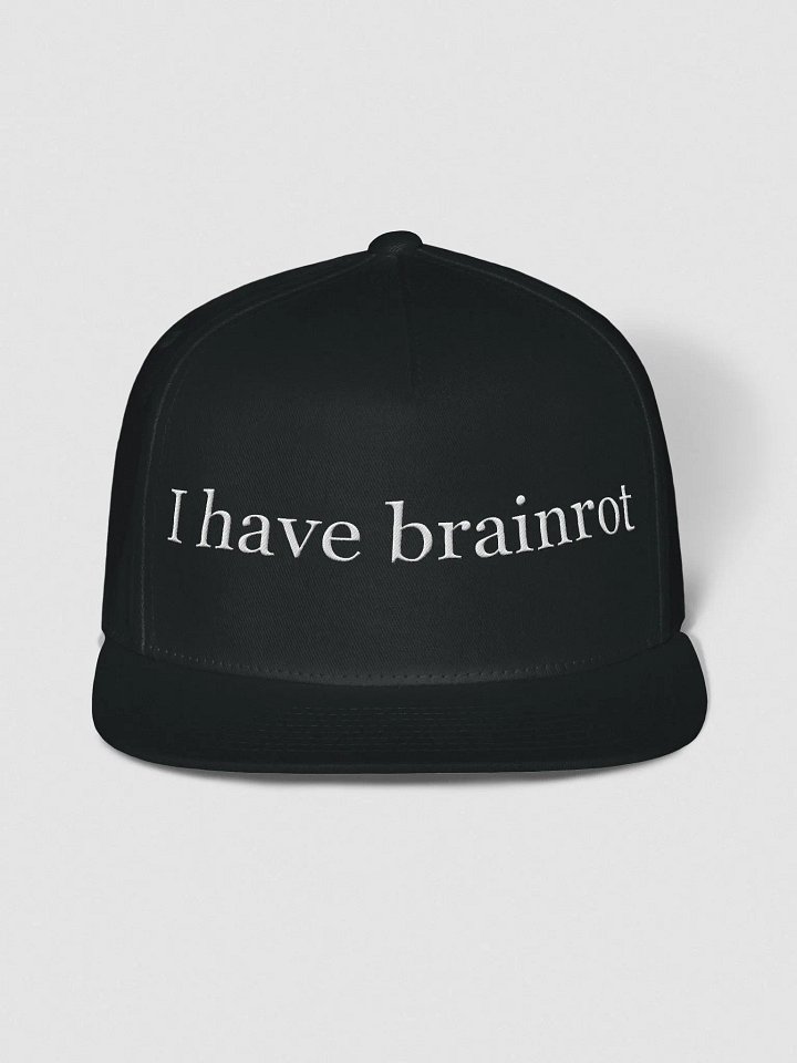 Brainrot Cat Cap product image (1)