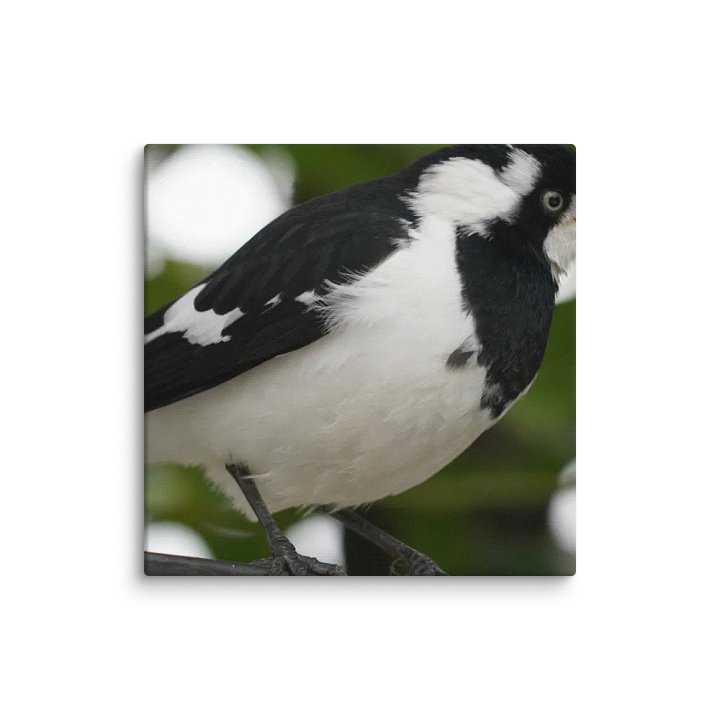 Bird Canvas product image (1)