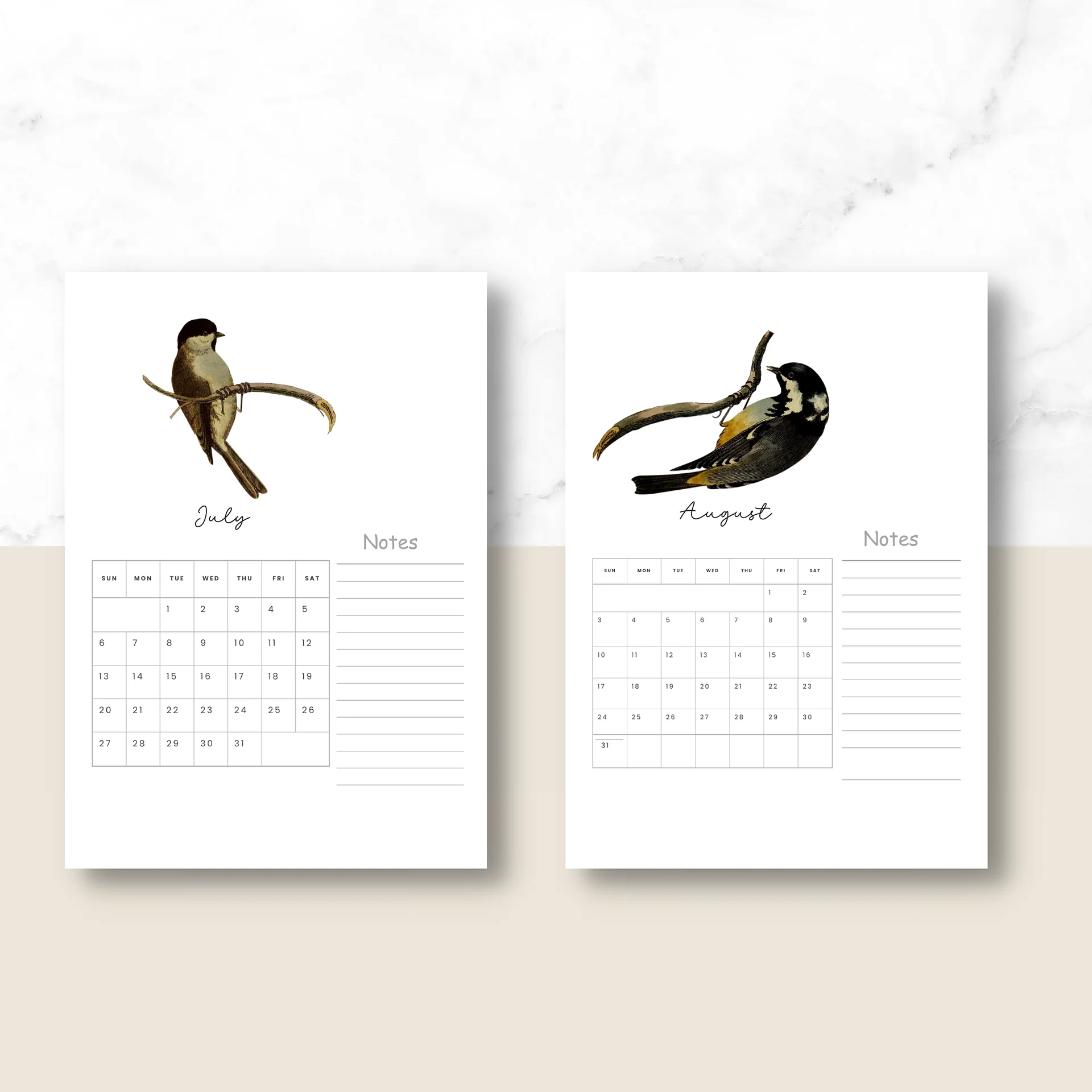 2025-2026 PDF Calendar: American Birds product image (6)