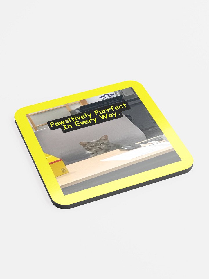 Pawsitively Purrfect Coaster Set product image (2)