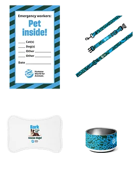 Dog companion bundle