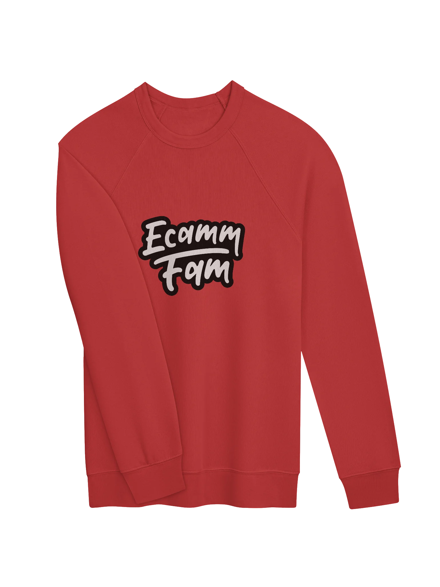 NEW Ecamm Fam Sweatshirt product image (19)