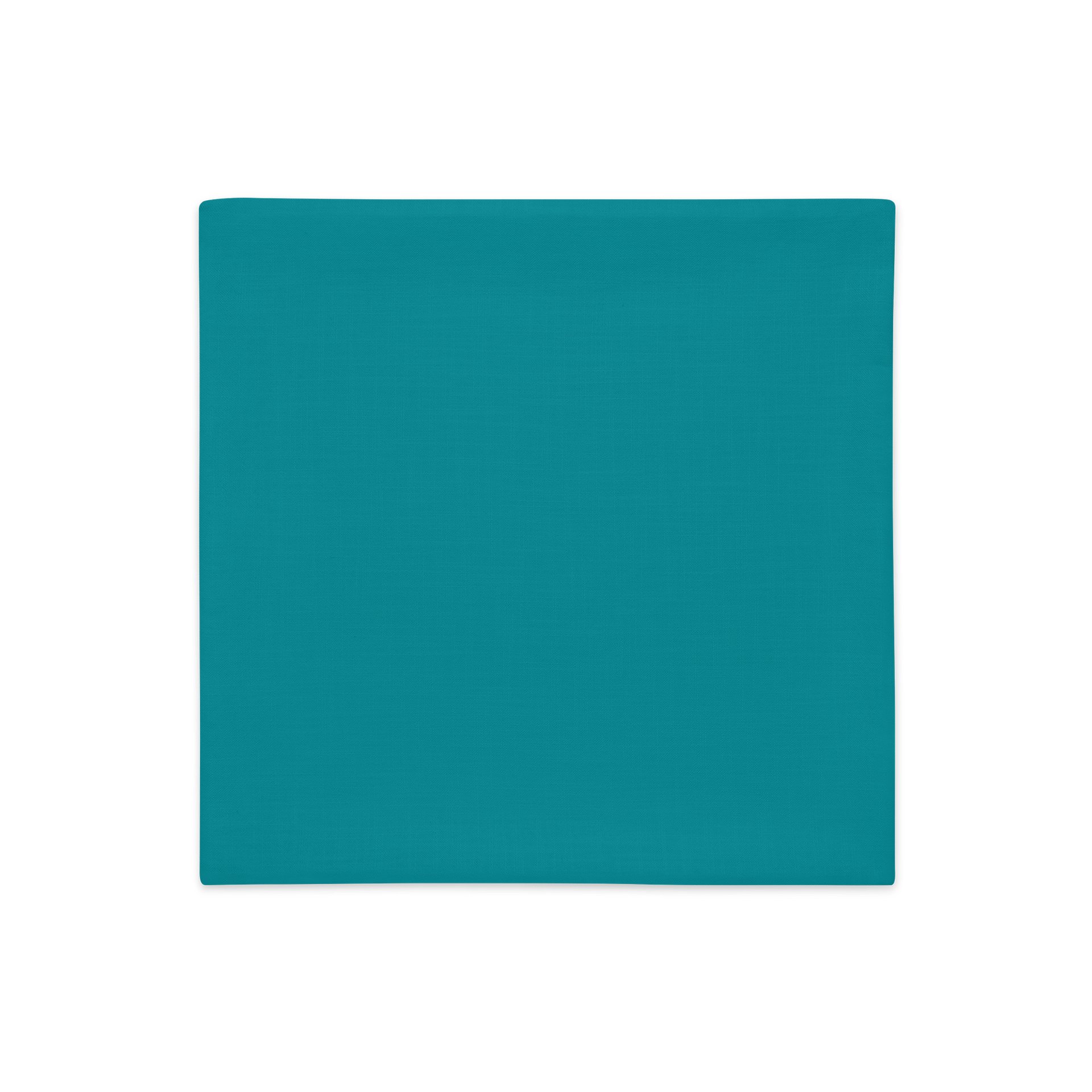 Blushy Teal Premium Pillow Case product image (2)