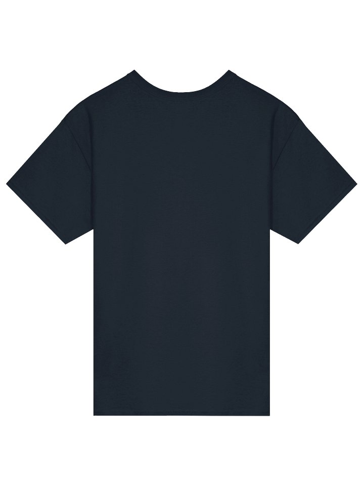NEVER FORGET SPIRIT AIRLINES 🙏🏾🕊️✨ — T-SHIRT (Front ONLY) product image (26)