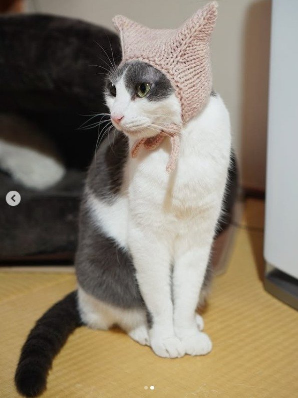 Knit Kitty Toy Hat Pattern product image (7)