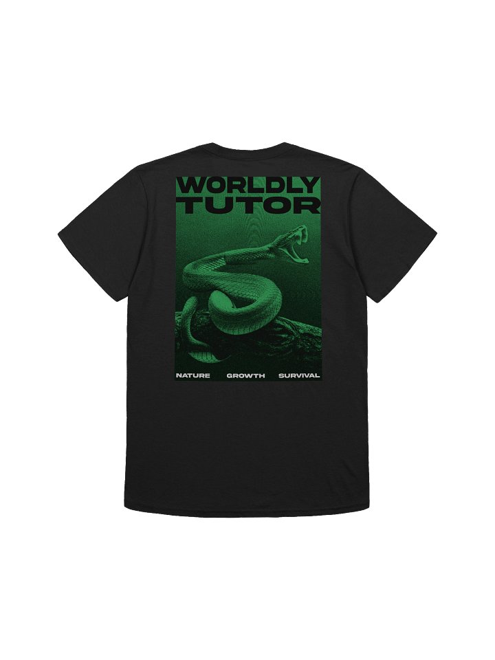 Worldly Tutor product image (1)