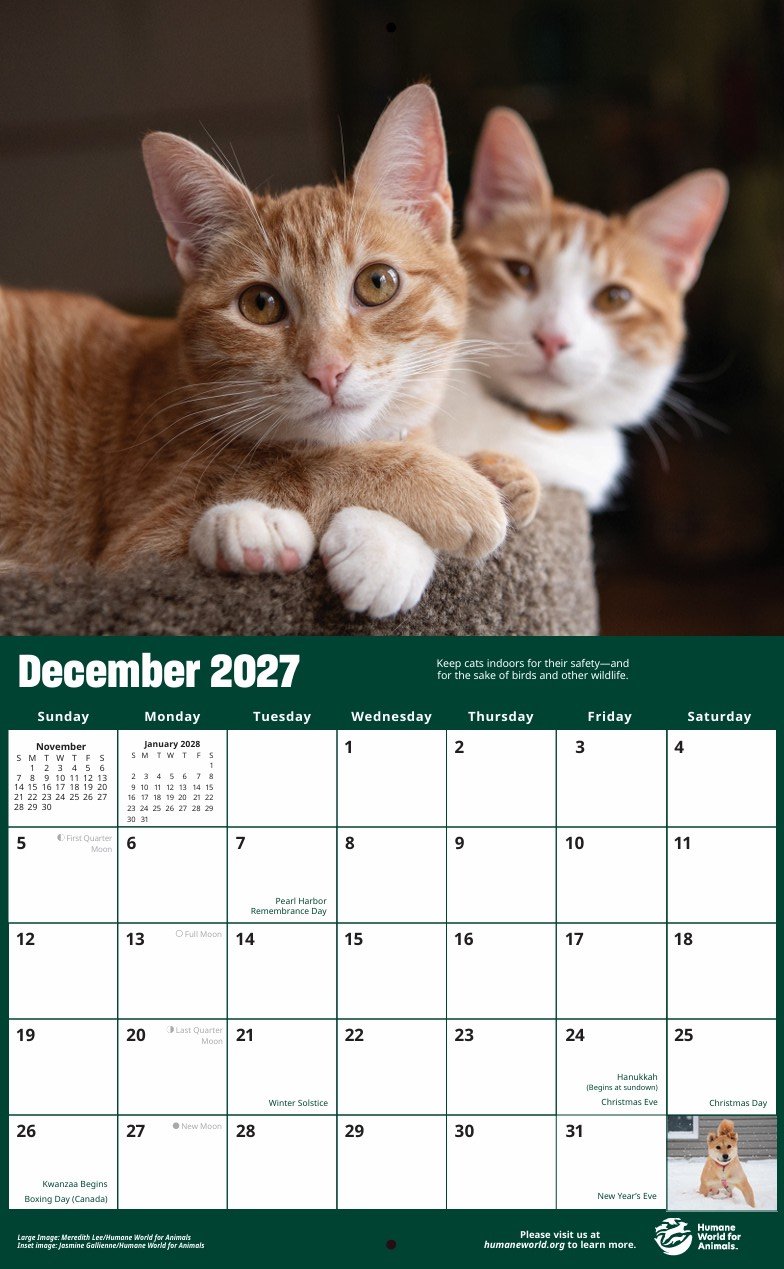 2027 Animal Lover's Wall Calendar product image (4)