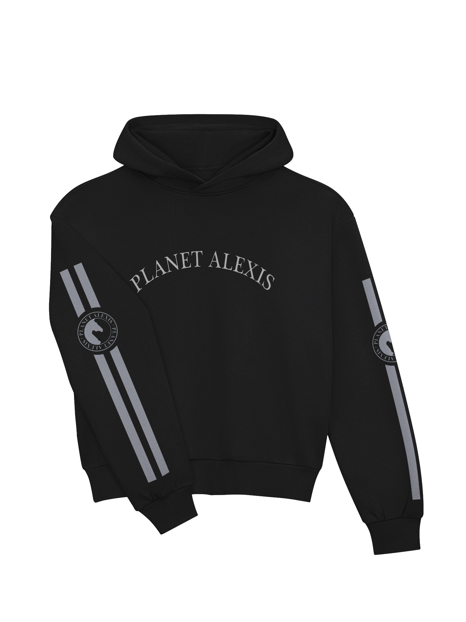 PLANET ALEXIS Arched Logo Hoodie product image (3)