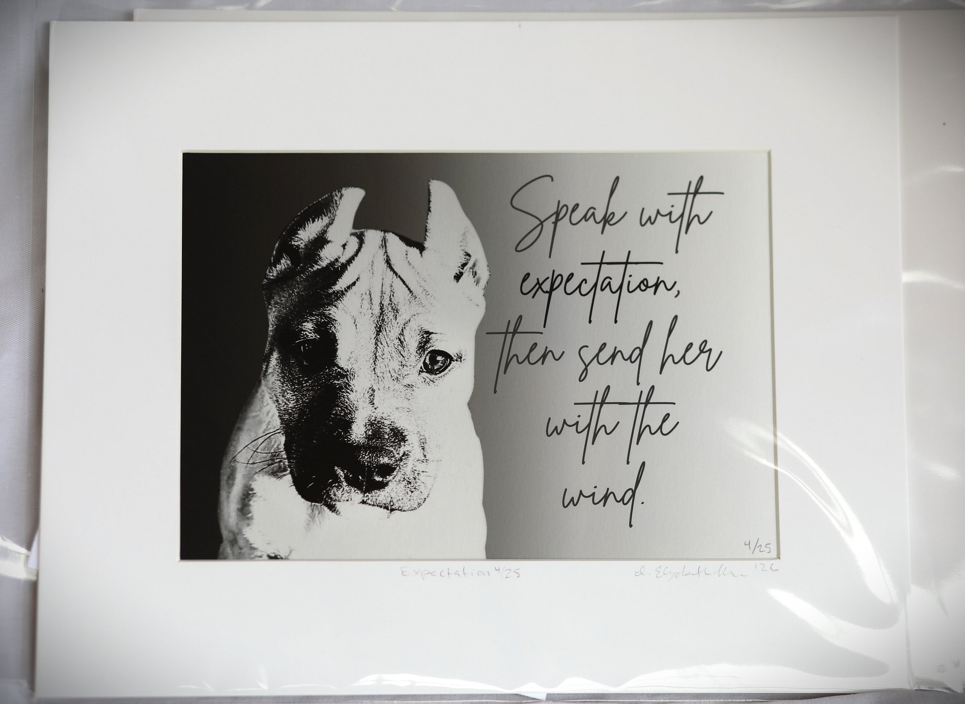 Limited Edition Pit Bull Puppy Fine Art Print – Signed Giclée Wall Art product image (2)