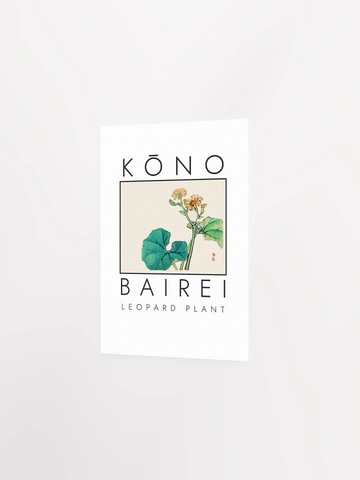 Kono Bairei Leopard Plant Poster product image (13)