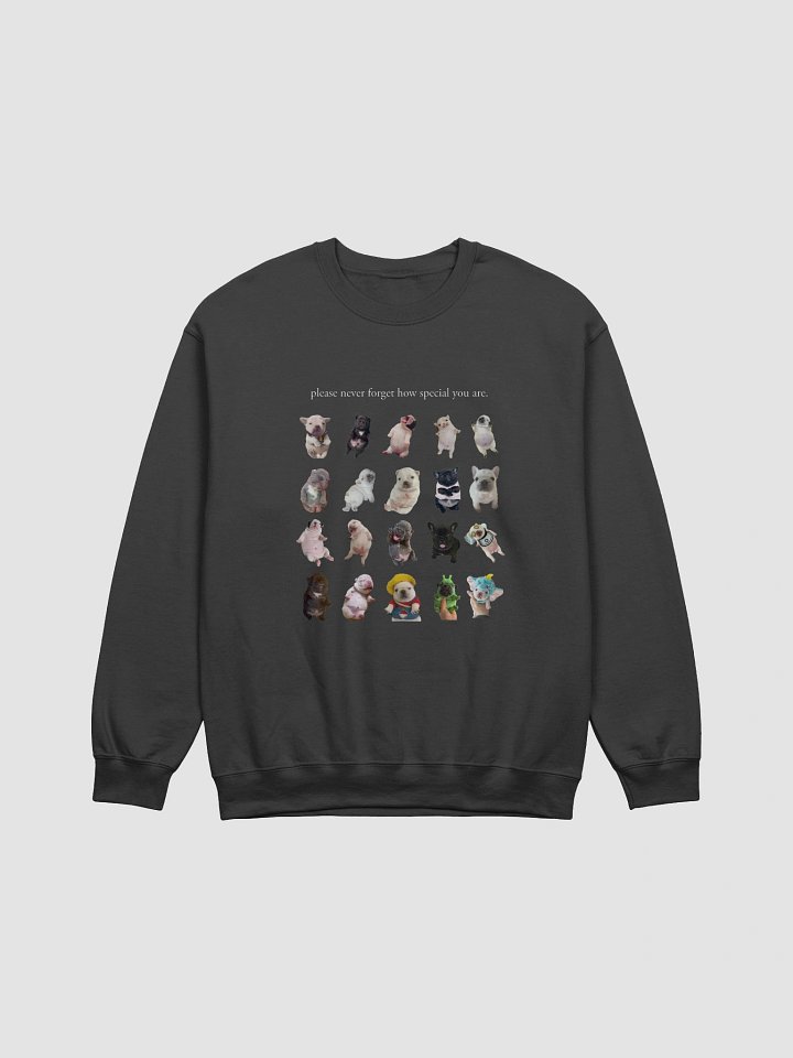 you are so special crewneck (and backside) - dark colors product image (1)