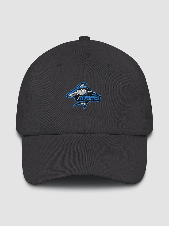 Sylver's hat product image (1)