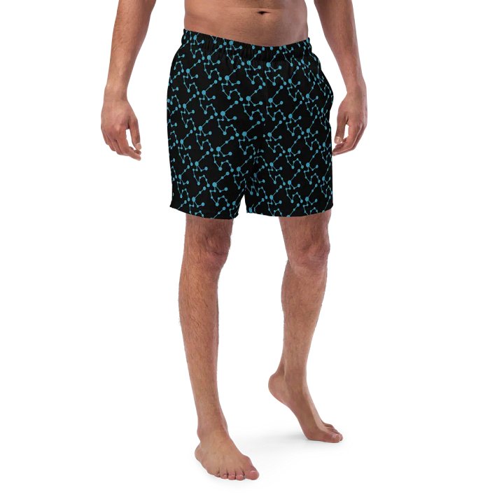 Aquarius Fusion Swim Shorts product image (1)