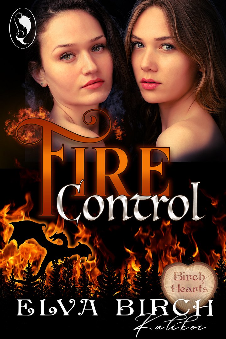 Fire Control product image (1)